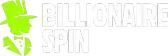 billionairespin-fr.site